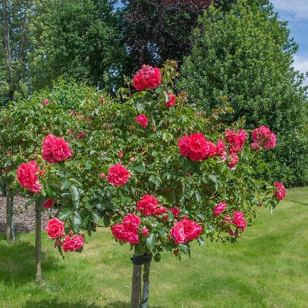 KronsgaardLandurlaub Regenholzアパートメント エクステリア 写真