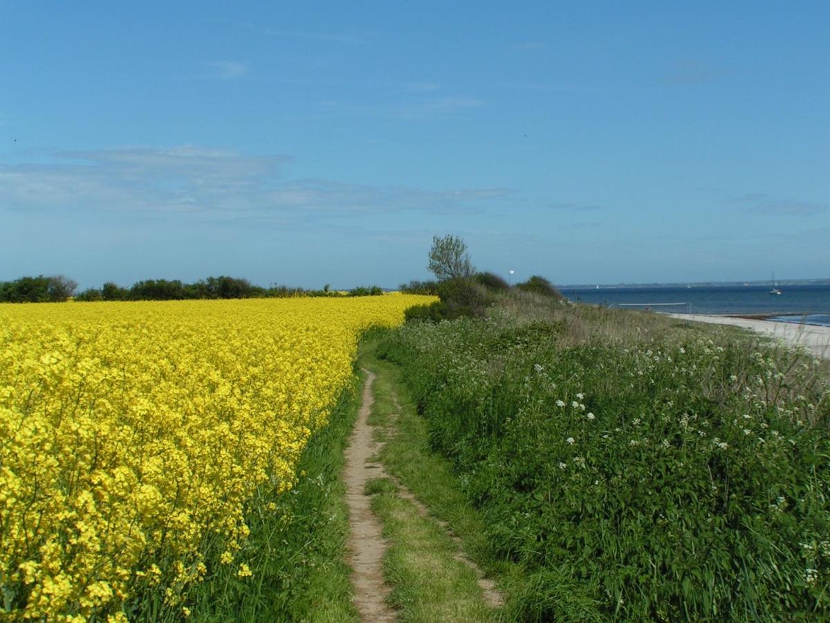 KronsgaardLandurlaub Regenholzアパートメント エクステリア 写真