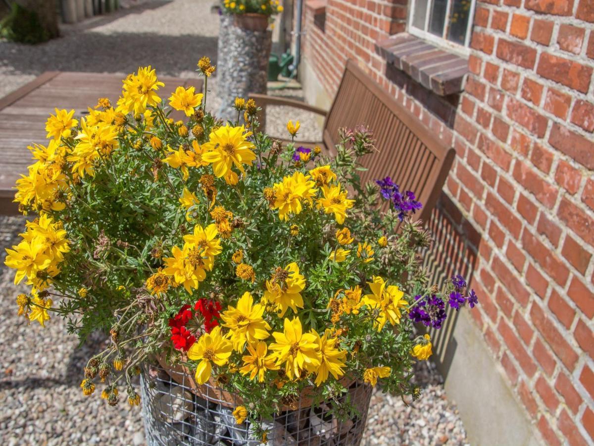 KronsgaardLandurlaub Regenholzアパートメント エクステリア 写真